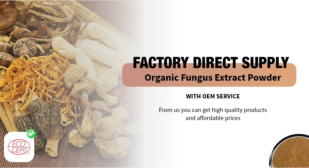 Herbal Extract Organic Dried Cordyceps Militaris