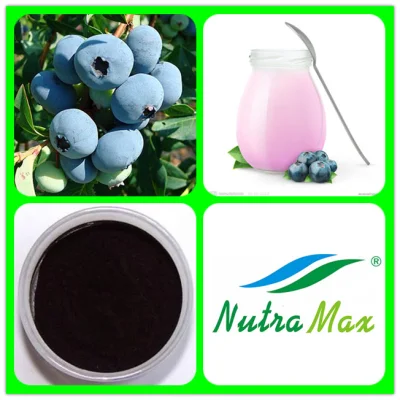 Fruit Extract Blueberry Juice Powder Blueberry Juice Concentrate