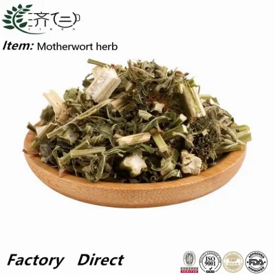 Organic Motherwort Herb Yi Mu Cao High Quality Dried Motherwort