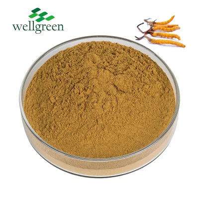 Professional Processing Herb Factory Custom Chinese Traditional Medicine Powder Herbal Extract