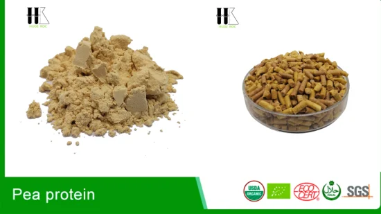 No-GMO Organic 80% 85% Pea Protein Powder 25kg and Kinds of Tasteless Plant Protein From China Supplier